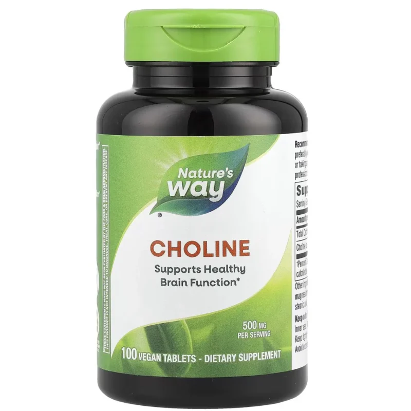 Nature's Way, Choline, 500 mg, 100 Vegan Tablets